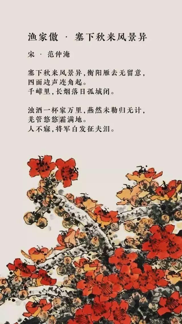 金牌保镖熊先生