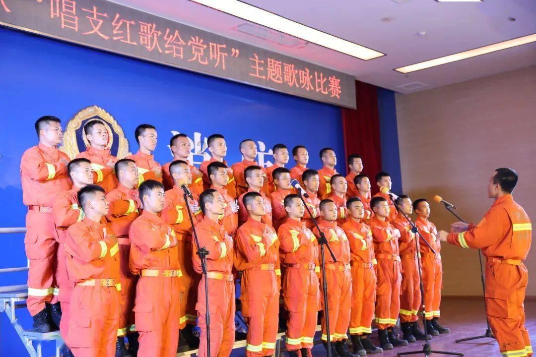 救援猫与武士