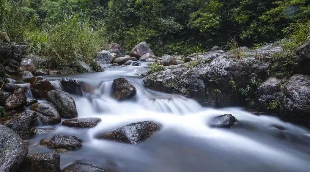 大话西游手游