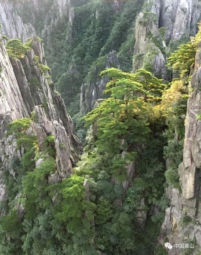 少林寺在河南什么地方?走进嵩山腹地,感受少林寺的震撼与魅力!